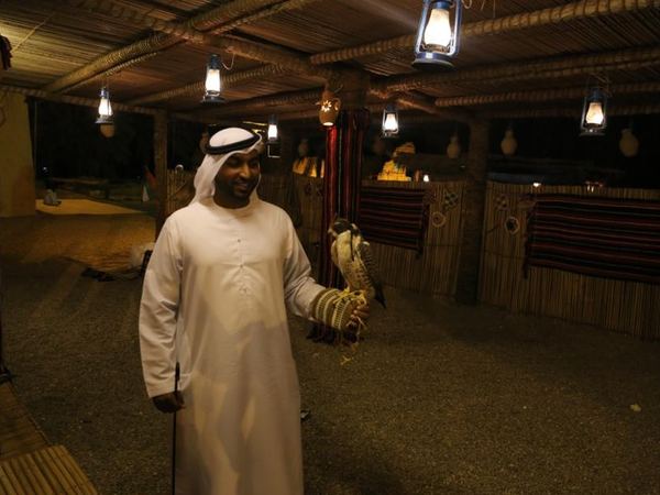 Mohammed Al Suwaidi with a falcon at a traditional desert heritage camp