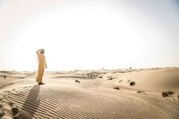 Morning desert safari at sunrise in Abu Dhabi dunes