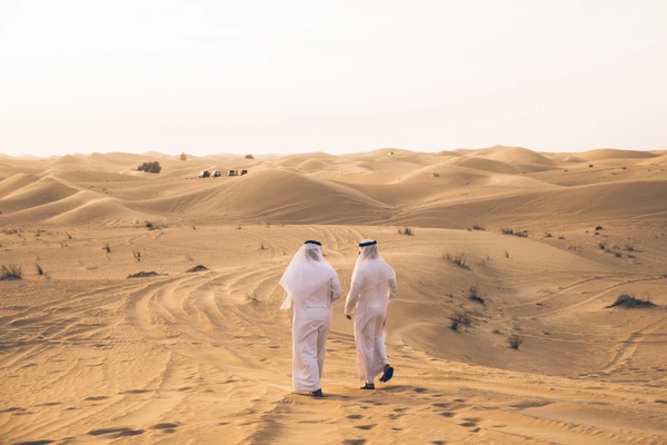 Fossil dune and Al Wathba combined landscape