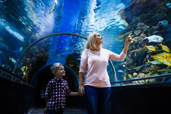 SeaWorld Abu Dhabi marine exhibits inside
