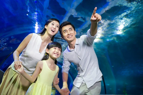 Yas Waterworld wave pool with guests