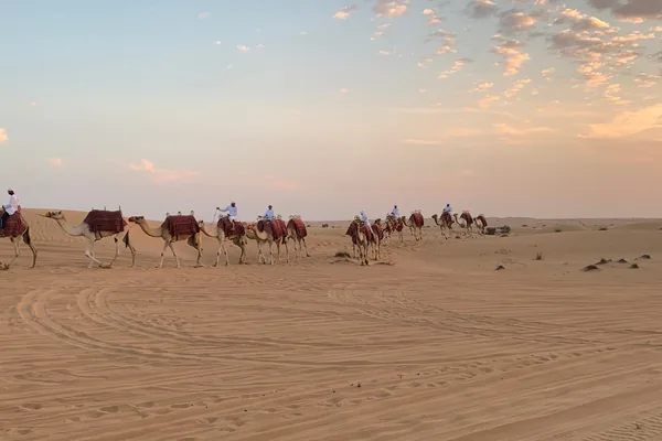 Camel caravan crossing the Abu Dhabi dunes at sunset on an evening desert safari