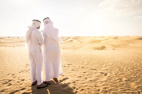 Emirati travellers overlooking the vast Liwa desert and Empty Quarter on a private day tour